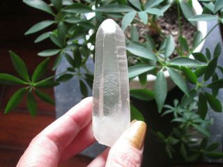 Rare Russian Lemurian Seed Quartz Crystal 3.  20 " Dow 7 - 3 - 7 W/phantom In My Book