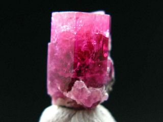 Rare Gem Bixbite Red Emerald Beryl Crystal From Utah Usa - 5.  50 Carats
