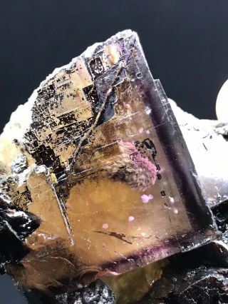 Rare Glassy Zoned Fluorite With Barite On Sphalerite,  Minerva 1 Mine,  Illinois