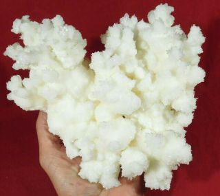 A Huge 100 Natural Bright White Aragonite Crystal Cluster With A Stand 2082gr
