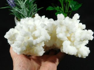 A HUGE 100 Natural Bright White ARAGONITE Crystal Cluster With a Stand 2082gr 2