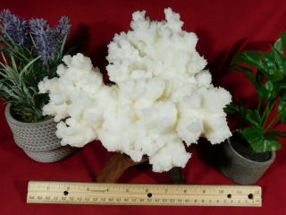 A HUGE 100 Natural Bright White ARAGONITE Crystal Cluster With a Stand 2082gr 3