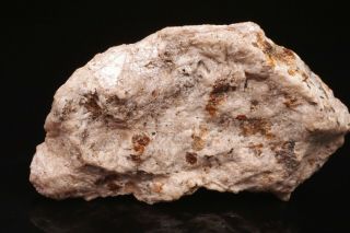 Extraordinary Nasonite & Barysilite Crystal Cluster Franklin,  Nj - Ex.  Lemanski