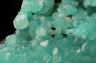 CLASSIC Smithsonite Crystal Cluster KELLY MINE,  MEXICO 2