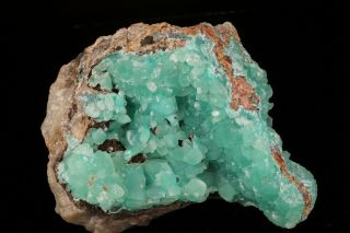 CLASSIC Smithsonite Crystal Cluster KELLY MINE,  MEXICO 3