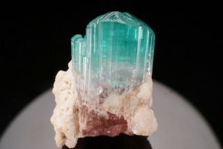 Extraordinary Blue & Pink Bicolor Tourmaline Crystal Pachigram Mine,  Afghanistan