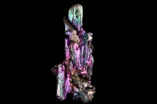 Extraordinary Iridescent Stephanite & Polybasite Crystal Husky Mine,  Canada