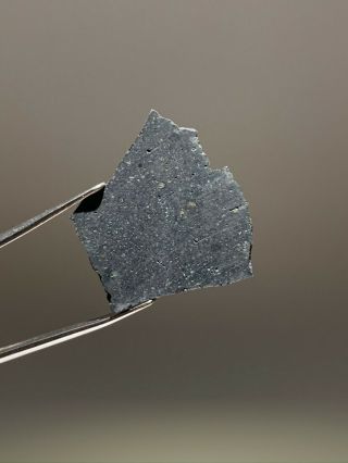 Aguas Zarcas Cm2 Meteorite Fall From Costa Rica - 1.  82 Gram Slice