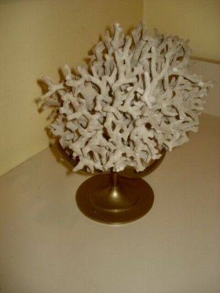 Vintage Coral On Arthur Court Brass Stand Rare