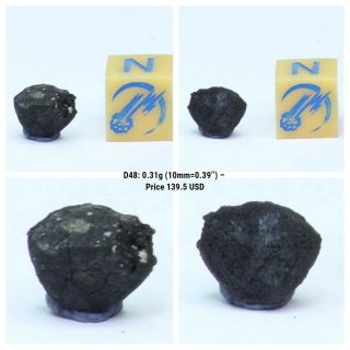 Classification Tarda Carbonaceous Chondrite C2 Ung 0.  31g Witnessed Meteorite