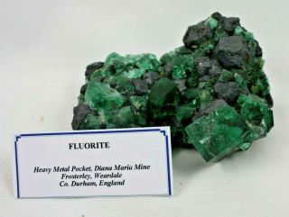 Diana Maria Mine Fluorite Green Blue Color Changing Fluorescent Rogerley England