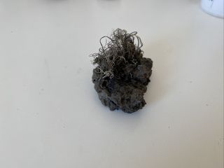 Native Silver Wire on Acanthite - Imiter Mine Morocco 2