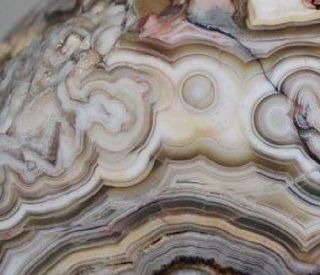 Hypnotic Laguna Lace Agate Faced Rough … 5.  6 Lbs … Feisty Patterns