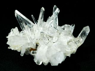 Dozens Of Points On This Lemurian Quartz Crystal Burr Cluster Colombia 349gr