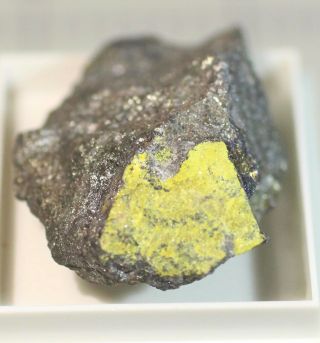 Rich Yellow Betpakdalite On Ore: Tsumeb Mine,  Namibia - Very Rare Species