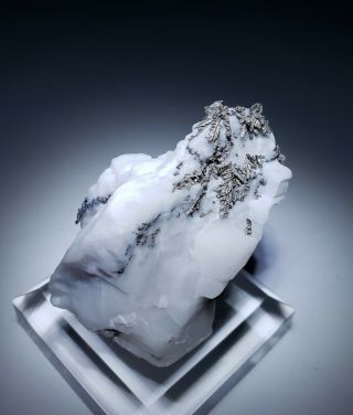 WOW - Native Silver Dyscrasite crystals on Fluorescent Calcite,  mine Morocco 2