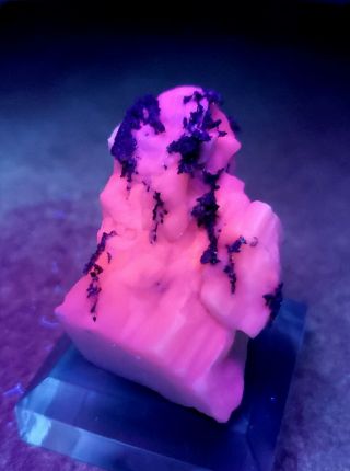 WOW - Native Silver Dyscrasite crystals on Fluorescent Calcite,  mine Morocco 3