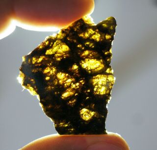 Nwa 7831 Hed Achondrite Diogenite Meteorite Slice With Green Olivine Crystals