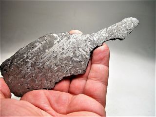 Newest Mexican Iron Baja California Meteorite Full Slice 114.  5 Gms