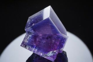 Blue Gem Fluorite Crystal Twin Beihilfe Mine,  Germany - Ex.  Lemanski