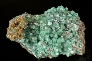 Aesthetic Cuprian Adamite Crystal Cluster Ojuela Mine,  Mexico - Ex.  Lemanski