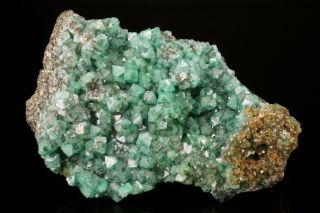 AESTHETIC Cuprian Adamite Crystal Cluster OJUELA MINE,  MEXICO - Ex.  Lemanski 3