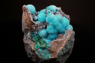 Aesthetic Chrysocolla Botryoids W Quartz Crystals Inca De Oro Chile - Ex Lemanski