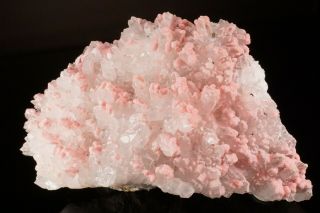 AESTHETIC Botryoidal Rhodochrosite on Quartz Crystal Cluster OPPU MINE,  JAPAN 3