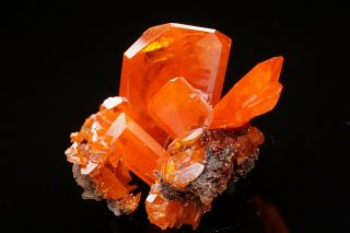 Classic Wulfenite Crystal Cluster Red Cloud Mine,  Arizona