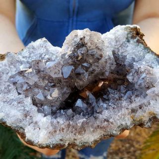 Spectacular Big 6 Inch Smoky Quartz Crystals With Goethite Inclusions