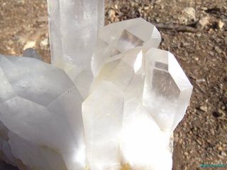 PERFECT DISPLAY_HUGE HIGH END OPTICAL CLEAR CLUSTER_Arkansas Quartz Crystal 3