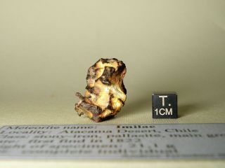 Meteorite Pallasite Imilac,  Chile,  Complete Individual 21,  1 G