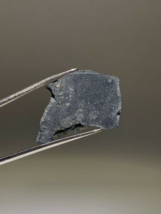 Aguas Zarcas Cm2 Meteorite Fall From Costa Rica - 1.  21 Gram Slice