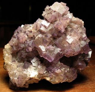 Fine Purple Fluorite With Galena Crystals From Hardin Co. ,  Illinois
