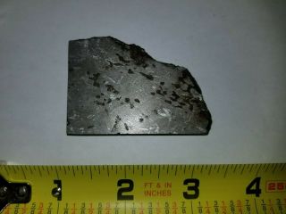 Rare Mont Dieu Meteorite Slice - Anomalous Iron - Part Slice 100g