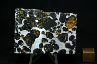 Sericho Pallasite Meteorite 105.  5 Grams
