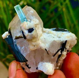 517 C.  T 100 Natural Damage Blue Gemmy Aquamarine Crystal,  Tourmaline,  Quartz