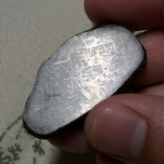 Nwa 859 (taza) 31g,  Ungrouped Iron Meteorite,  Rare Type,  Perfect Etching
