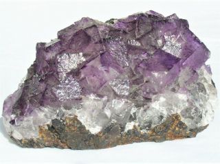 Large Purple Fluorite Crystal Cluster Glistening Sphalerite Matrix Elmwood Mine