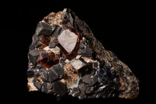 Old Andradite Garnet & Magnetite Crystal Cornwall Mines,  Pennsylvania