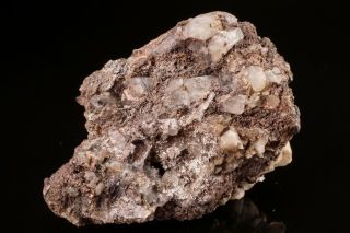 Rare Native Silver & Chlorargyrite With Quartz Butte Montana - Ex Lemanski