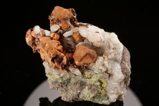 UNIQUE Native Copper Crystal Epimorphs after Calcite OJIBWAY MINE,  MICHIGAN 3