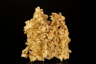 RARE OLD Native Gold ORIENTAL MINE,  CALIFORNIA - Ex.  Mushlitz 3