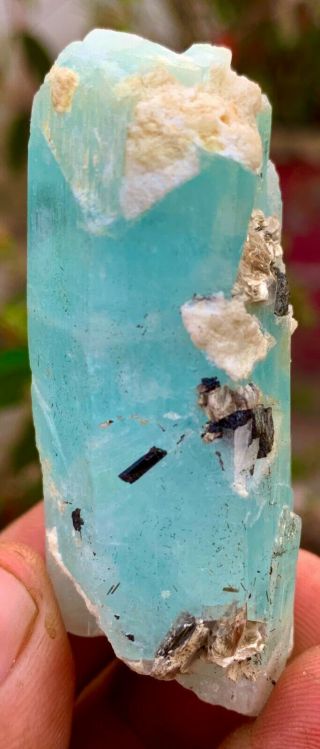 WoW 244 c.  t Top Damage Terminated Etched Blue Color Aquamarine Crystal. 3