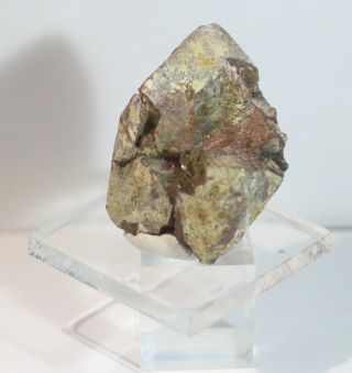 Large Twinned Monazite - (ce) Crystal: Platt Pegmatite,  Encampment Wyoming - Rare