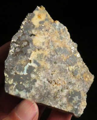 Gold In Quartz - - Camp Bird Mine,  Ouray County,  Colorado 3 " X 3 " X 1/2 "