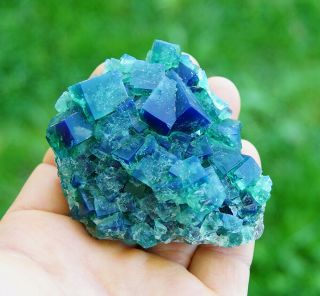 Green/blue Fluorite Twinned Crystals On Matrix From Diana Maria Mine - Rogerley