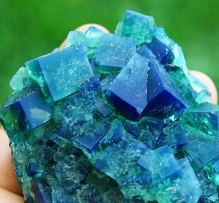 Green/blue Fluorite twinned crystals on matrix from Diana Maria Mine - Rogerley 2