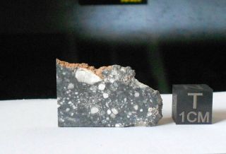 Meteorite NWA 11273 (Lunar) - 1.  9 g 2