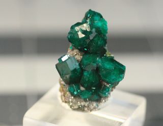 Lustrous Dioptase Crystals On Matrix: Tsumeb Mine,  Tsumeb,  Namibia - Classic